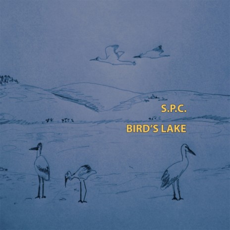 Bird's Lake (Original Mix)
