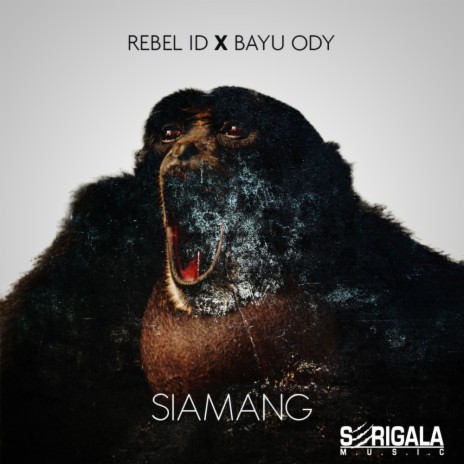 Siamang (Original Mix) ft. Bayu Ody