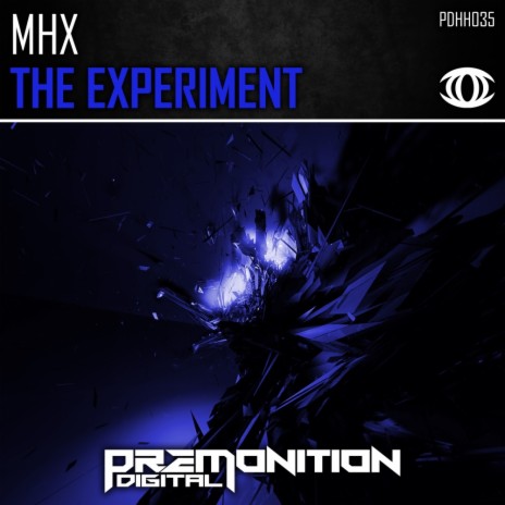 The Experiment (Original Mix) | Boomplay Music