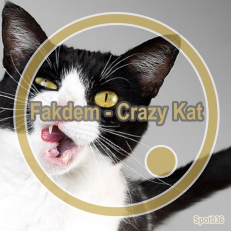 Crazy Kat (Original Mix) | Boomplay Music