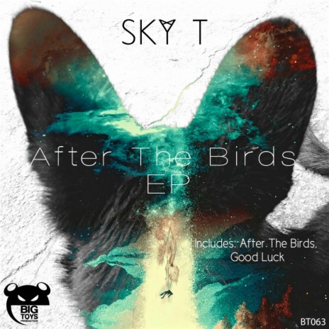 After The Birds (Original Mix)