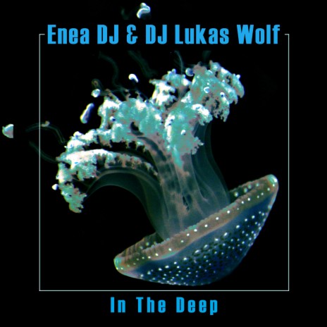 In the Deep ft. DJ Lukas Wolf | Boomplay Music