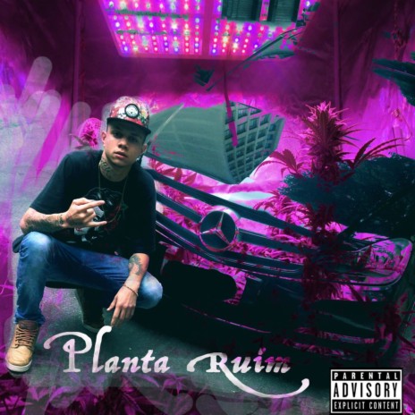 Planta Ruim | Boomplay Music