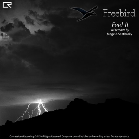 Feel It (Freebird VIP)