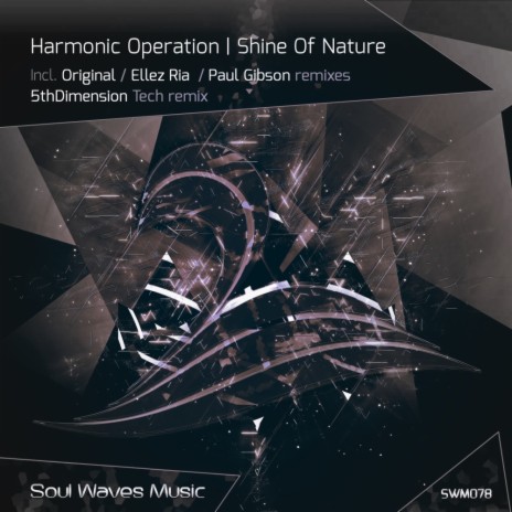 Shine Of Nature (5thDimension Tech Remix) | Boomplay Music