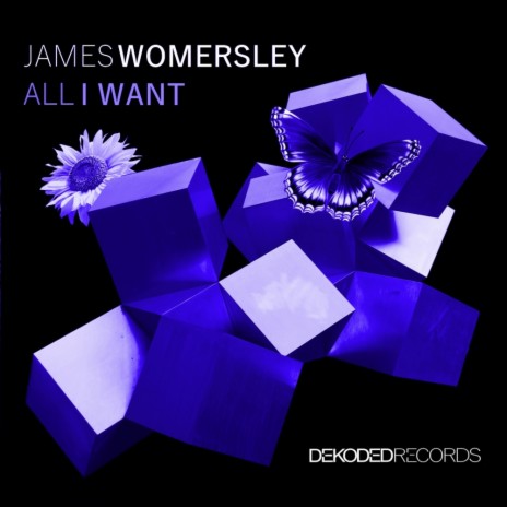 All I Want (Original Mix)