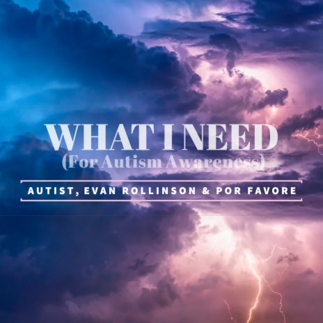 What I Need ft. Evan Rollinson & Por Favore | Boomplay Music
