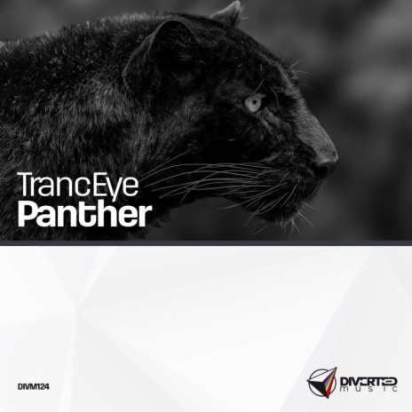 Panther (Original Mix)