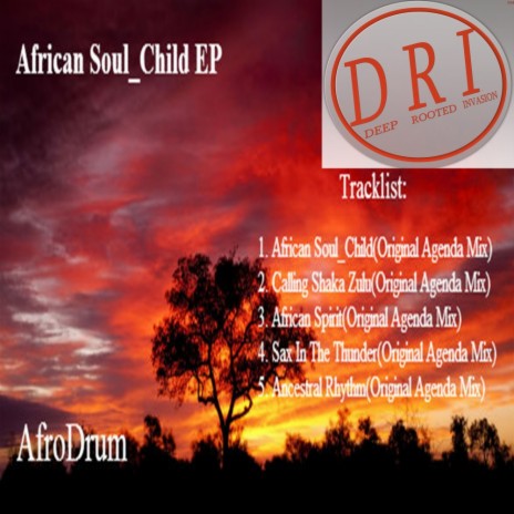 African Spirit (Agenda Mix)