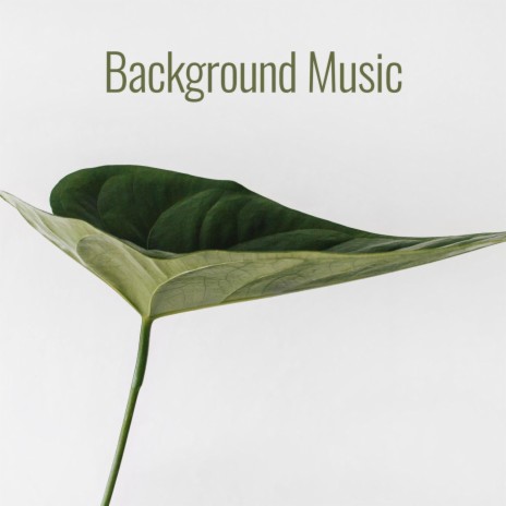 Music for Meditation | Boomplay Music