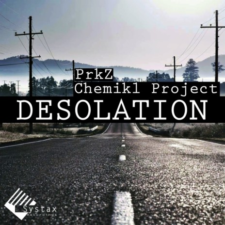 Desolation (Intro Mix) ft. Chemikl Project | Boomplay Music