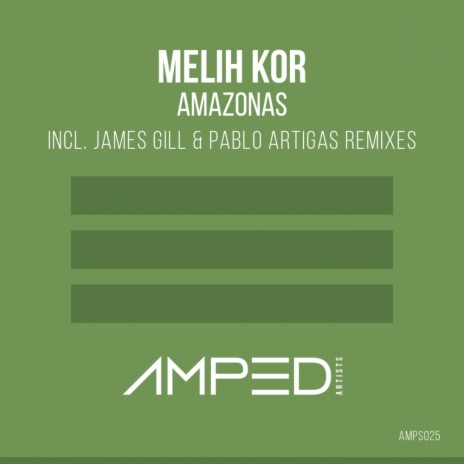 Amazonas (Pablo Artigas Remix) | Boomplay Music