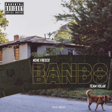 Bando | Boomplay Music