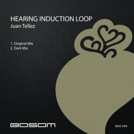 Hearing Induction Loop (Original Mix)