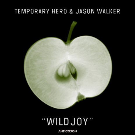 WILDJOY (Guy Scheiman Remix) ft. Jason Walker | Boomplay Music