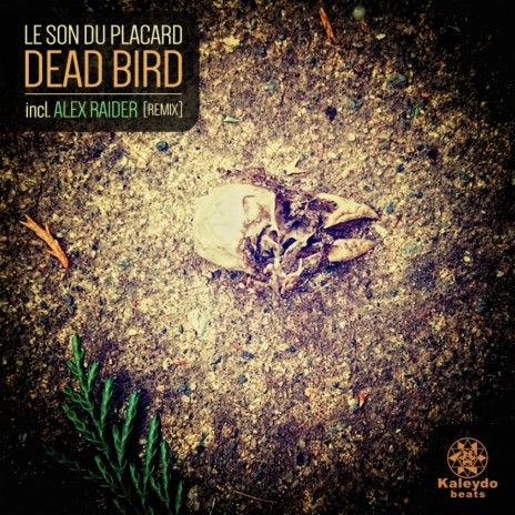 Dead Bird (Alex Raider Remix)