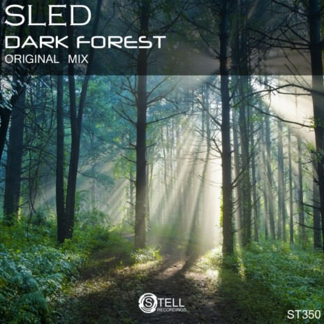 Dark Forest (Original Mix)