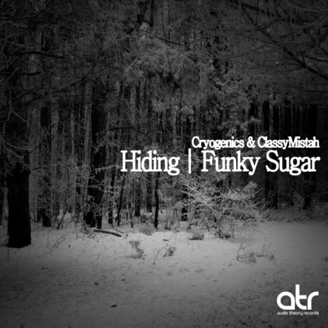 Funky Sugar (Original Mix)
