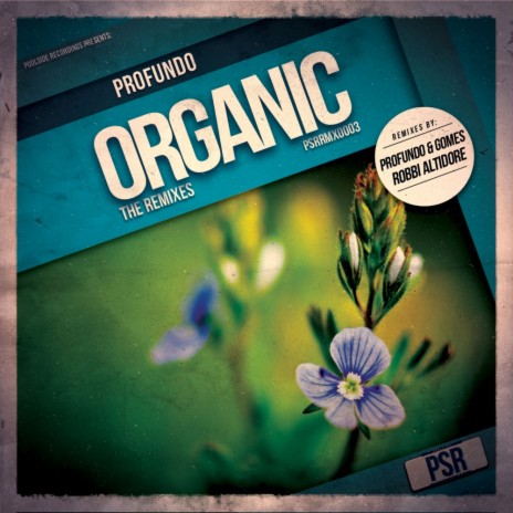 Organic (Profundo & Gomes Remix)