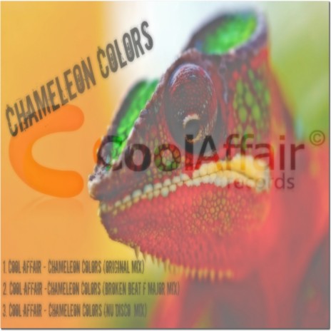 Chameleon Colors 2 (Broken Beat Mix)