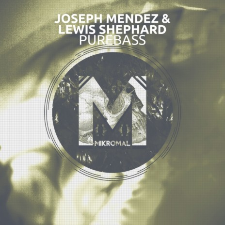 Purebass (Original Mix) ft. Lewis Shephard | Boomplay Music
