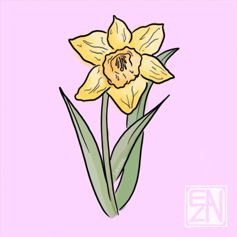 Daffodil | Boomplay Music