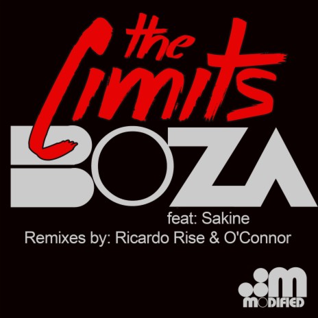 The Limits ft. Sakine | Boomplay Music