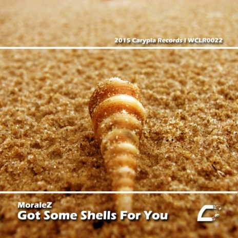 Got Some Shells For You (Original Mix)