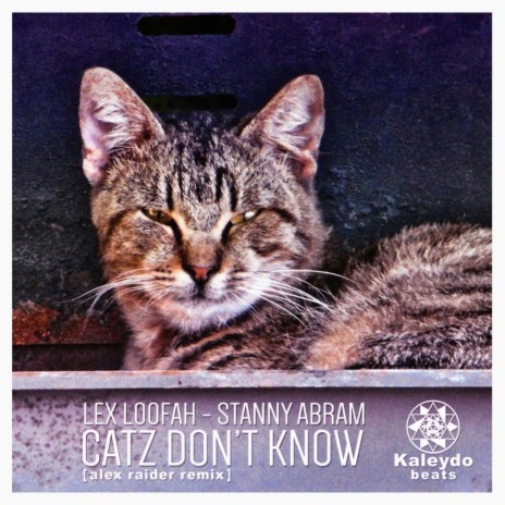 Catz Don't Know (Alex Raider Remix) ft. Stanny Abram