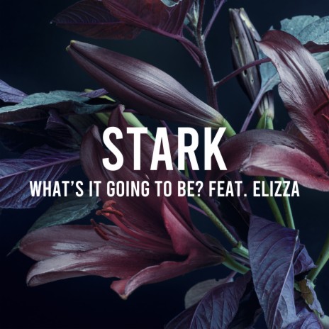 What’s It Going to Be? ft. ELIZZA | Boomplay Music