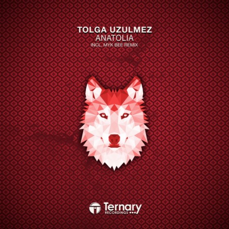 Anatolia (Original Mix) | Boomplay Music