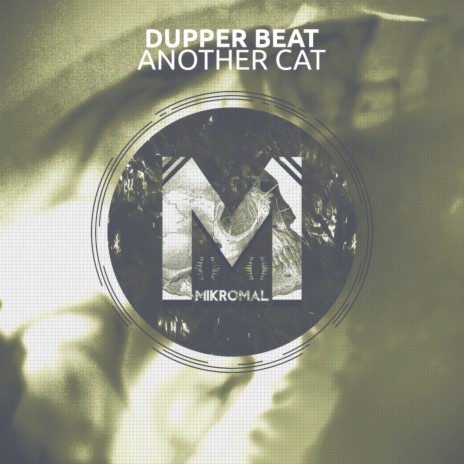 Another Cat (Original Mix) | Boomplay Music