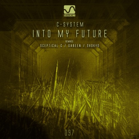 Into My Future (Original Mix)