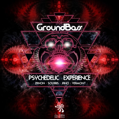 Psychedelic Experience (Original Mix) ft. Zanon | Boomplay Music