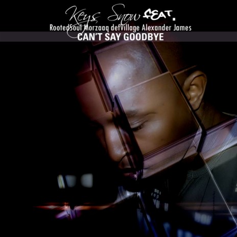 Can't Say Goodbye (Instrumental) ft. RoodetSoul, Morzaaq defVillage & Alexander James | Boomplay Music