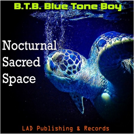 Nocturnal Sacred Space (Original Mix)