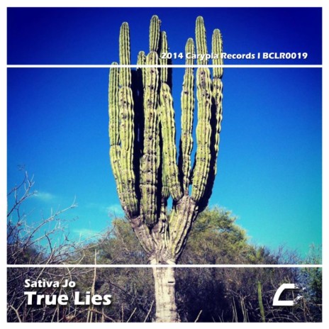 True Lies (Original Mix) | Boomplay Music