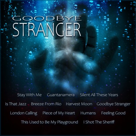 Goodbye Stranger | Boomplay Music