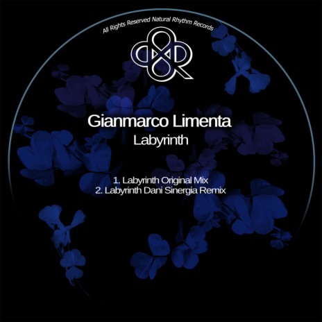 Labyrinth (Dani Sinergia Remix) | Boomplay Music