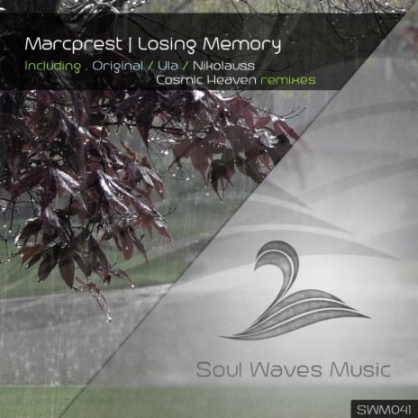Losing Memory (Cosmic Heaven Remix)