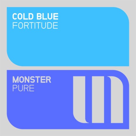 Fortitude (Radio Edit) | Boomplay Music