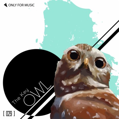 Owl (Original Mix)