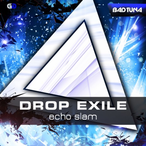 Echo Slam (Original Mix)