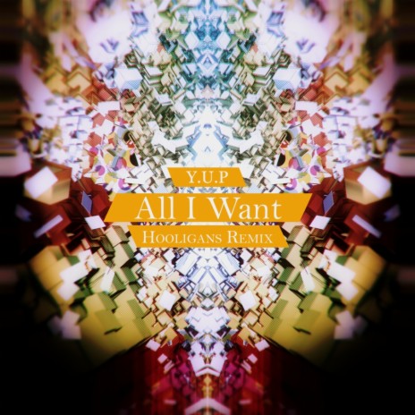 All I Want (Hooligans Remix) | Boomplay Music