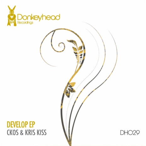 Develop (Original Mix) ft. Kris Kiss | Boomplay Music