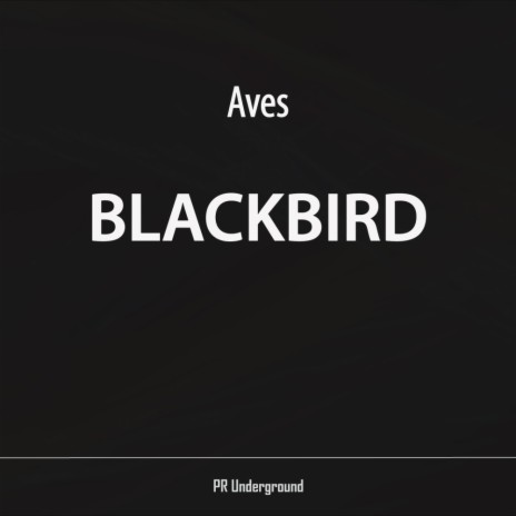 Blackbird (Original Mix)