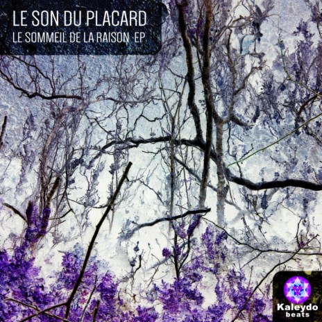 Le Sommeil De La Raison (Original Mix) | Boomplay Music