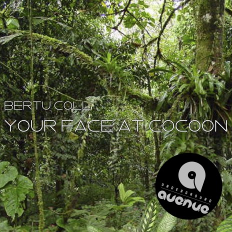 Your Face at Cocoon (Original Mix)