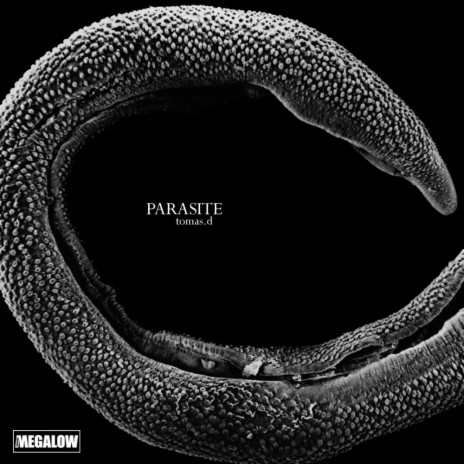 Parasite (Original Mix) | Boomplay Music