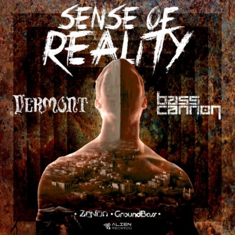 Sense Of Reality (Original Mix) ft. Basscannon | Boomplay Music
